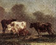 POTTER, Paulus Cows in a Meadow af oil painting